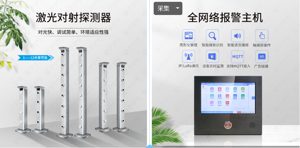 “5個(gè)篇章”回顧艾禮安的上半年