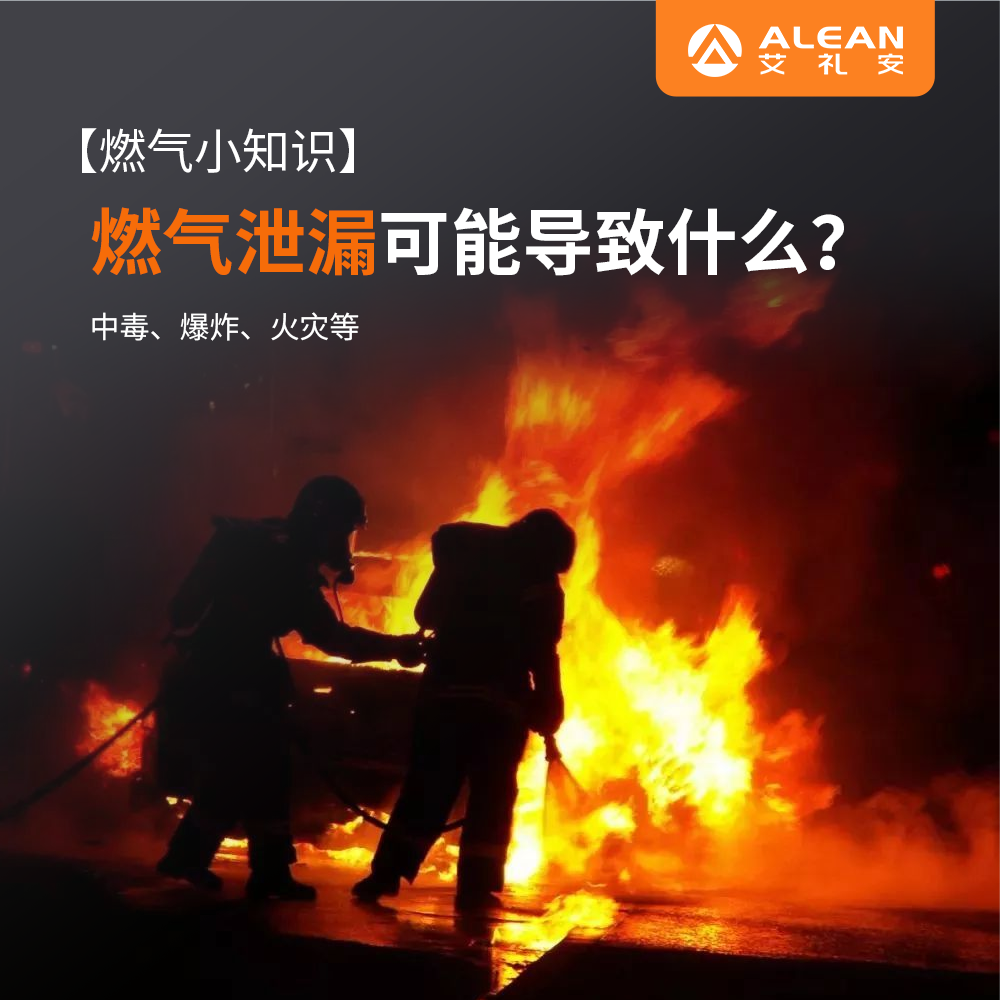 艾禮安燃?xì)鈭?bào)警器系列