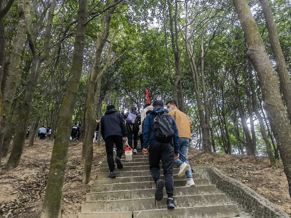 登高望遠(yuǎn)，打卡“陽(yáng)臺(tái)疊翠”