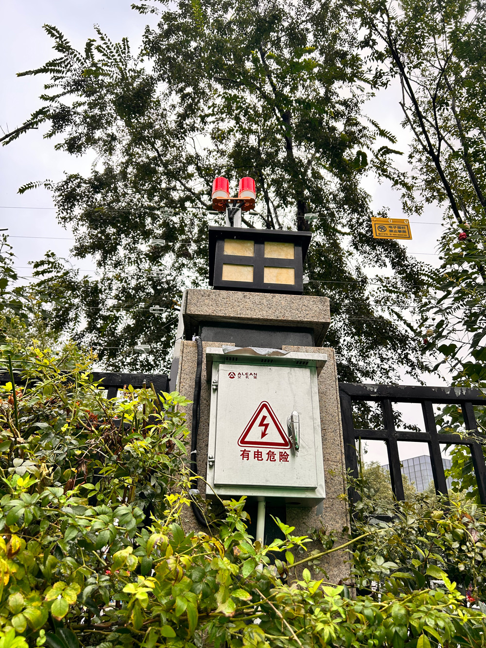 高新區(qū)行知小學(xué)