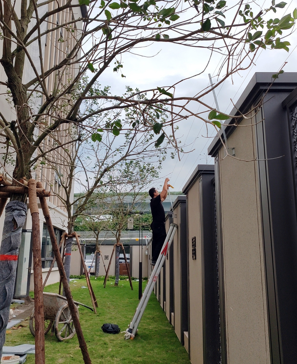 廈門市五緣實(shí)驗(yàn)幼兒園|脈沖電子圍欄