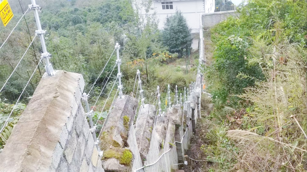 艾禮安——四季更替，步履不停