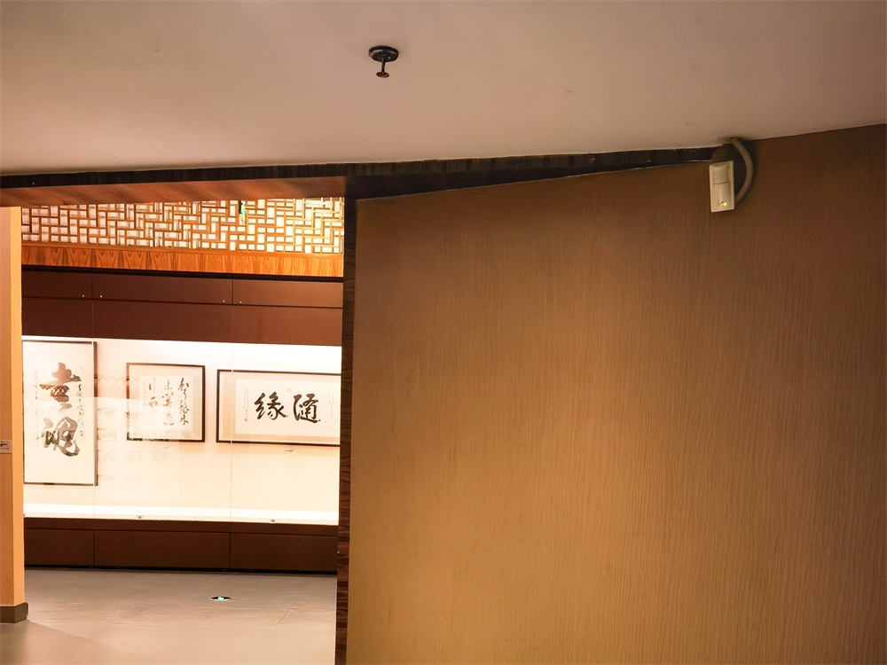 艾禮安報(bào)警系統(tǒng)：守護(hù)博物館的文化瑰寶