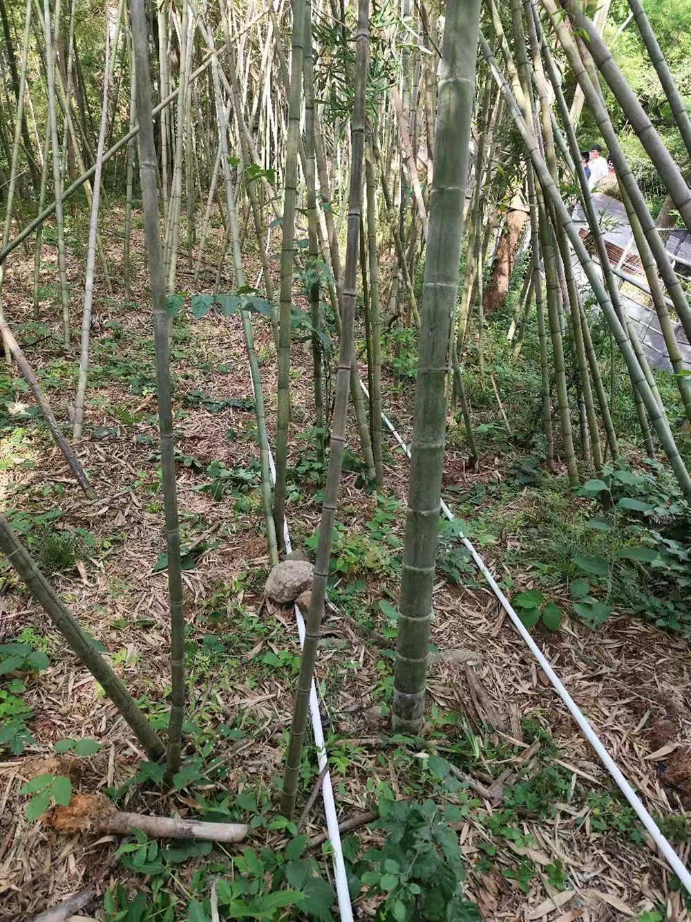南京猿人洞 | 泄漏電纜