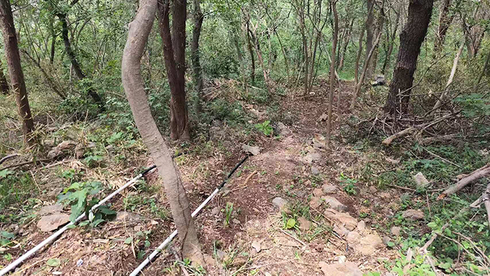 南京猿人洞 | 泄漏電纜